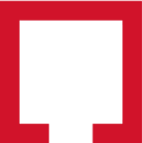 Logo Icon